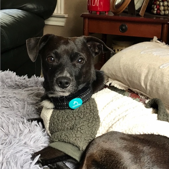 ❤️Reasonable Offer Sale❤️ - Picture 4 of 4